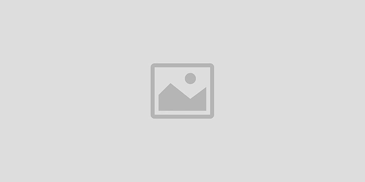 فروشگاه اینترنتی کاسب کار